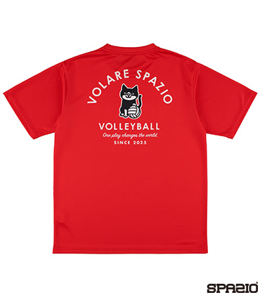 Pippoバレープラシャツ3