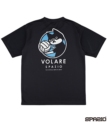 Pippoバレープラシャツ1